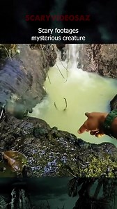 3.9K views · 82 reactions |  Mysterious creatures caught on camera #scaryvideosaz | Scary Videos | Facebook