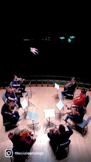 Mendehlsson String Octet - Daunting And Mesmerizing Performance (Short)
