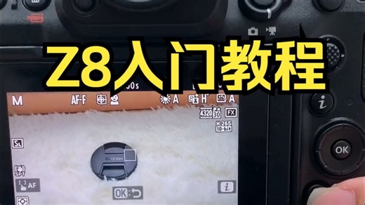 Z8入门教程，推给需要的朋友！