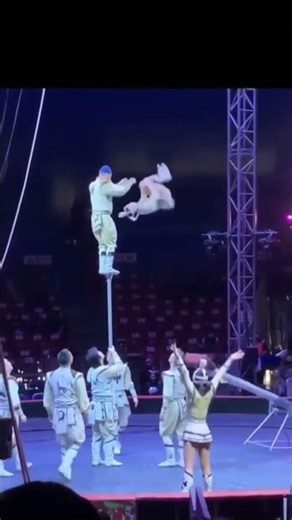 Incredible Aerial Circus Act – Seesaw Launch to Shoulders! 🤸‍♂️