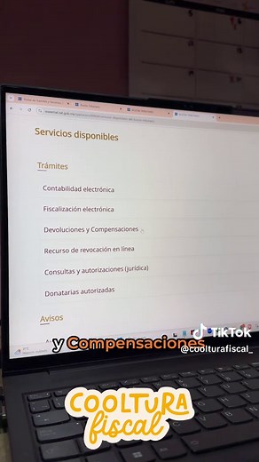 Guía para Devolución Manual a través del FED