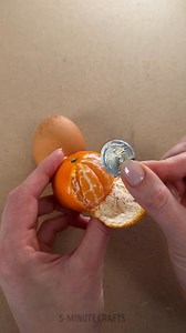 79K views · 234 reactions | Great Hiding Spots for When Trust Isn’t an Option! | 5-Minute Recycle | Facebook