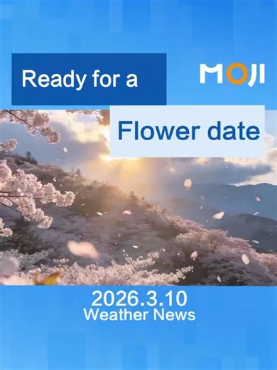 🌸 Ready for a flower date? Spring is quietly approaching, and flower buds are secretly gathering strength. But did you know? Blooms don’t follow the calendar—they follow the weather. 🌡️ Temperature is nature’s hidden director of bloom season. Every flower’s opening depends on accumulated temperature—the heat built up over time. Warm winters nudge blossoms earlier; cold snaps push them back. Even one storm can strip cherry blossoms overnight. 📱 Don’t rely on luck—plan your bloom-chasing with M