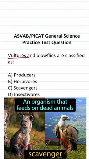 ASVAB/PiCAT General Science Practice Test Question #acetheasvab with #grammarhero
