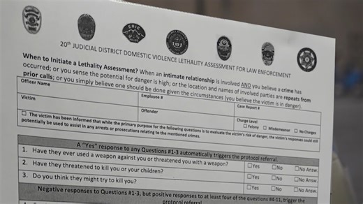 New bill could make domestic violence assessment mandatory
