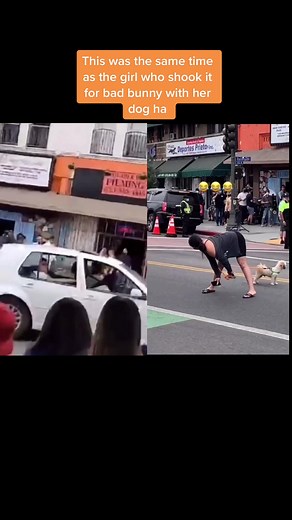 #Duet @Mellanie Morales she did what we all wish we could do #badbunnytiktok #badbunnypr #badbunny #parati #foryou #fyp #unveranosinti