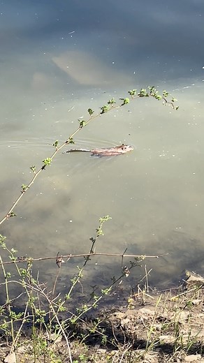 So cool to see nature in action! | Paige Eisenman