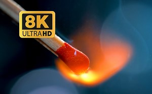 8K UHD 超高清 令人惊叹的微距拍摄_哔哩哔哩_bilibili