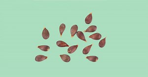 Les bienfaits de la pectine