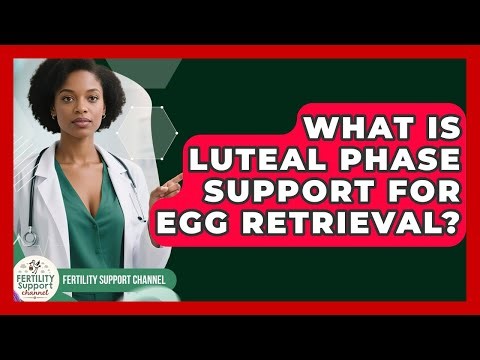 What Is Luteal Phase Support For Egg Retrieval? - Fertility Support Channel