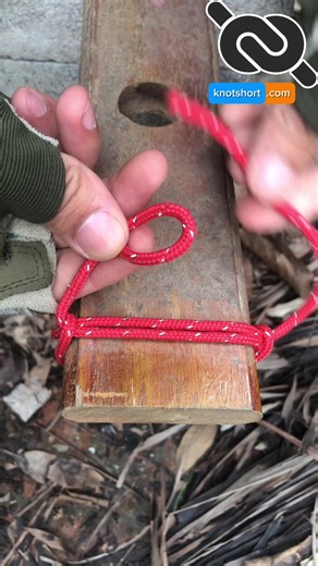 Mastering Knot Tying Techniques for Swinging