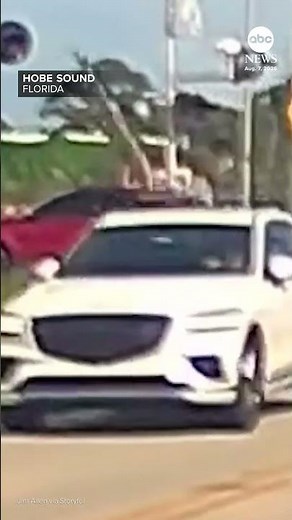‘Angel’ lifts crossing arm to save driver from getting hit by train
