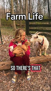 4.2K views · 54 reactions | Pygmy goats stay small but have outsized personalities! Click here for my FREE cheat sheet, workshop, and more! linktr.ee/medicaremama | The Medicare Family | Facebook