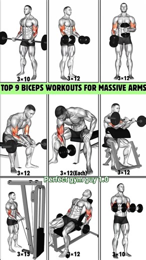 Stop Doing Basic Curls! Try These 9 Bicep Killers