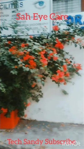 "डॉ. विनीत शाह के साथ आधुनिक आंखों के चेकअप और मोतियाबिंद ऑपरेशन#EyeCare #CataractSurgery#VisionCare