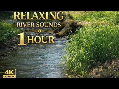 Relaxing River Sounds 🌿 Peaceful Nature Ambience for Sleep & Relax (1 Hour) 4K