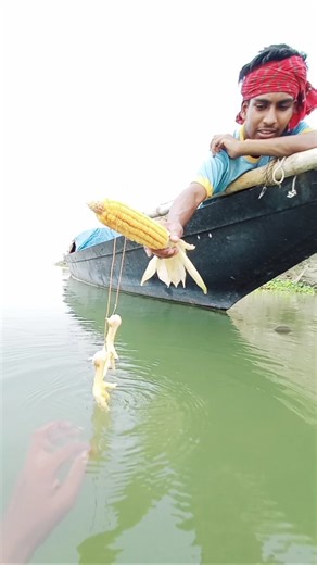 Unbelievable Fishing Mathod Part 150 #hookfishing #fishingvideo