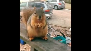 Eminem rap god funny