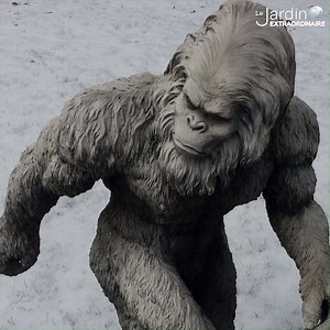5.8K views · 107 reactions | Dans notre série "idées fausses et vrais mensonges" sur le monde animal : le yeti existe-t-il vraiment ? Des explications de Johan Michaux, Directeur de Recherches au FNRS, #LiègeFacultedesSciences et Conseiller Scientifique pour le Jardin Extraordinaire depuis près de 15 ans | Le jardin extraordinaire - RTBF | Facebook