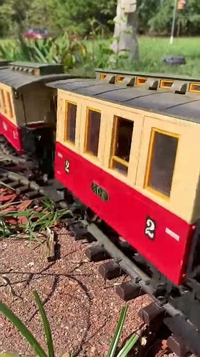 LGB 2070D in the garden