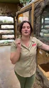 These are just some fot he monster animals here at The Zoo 😱 and they'll only keep growing 😳 | The Reptile Zoo