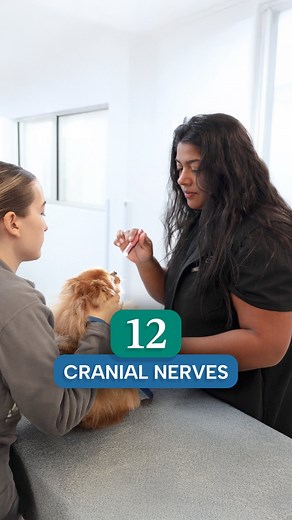 712 reactions · 93 shares | In this easy-to-understand breakdown,...