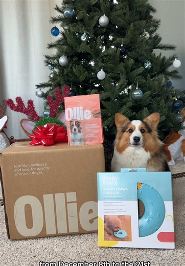 @Ollie and @ZippyPaws Pet Toys are giving you 70% off your first box of Ollie, free jerky strips, and a free puzzle toy! #ollieambassador