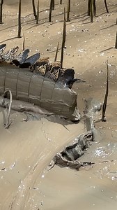 9.5K views · 94K reactions | Life is short.. It’s a whole lot shorter...