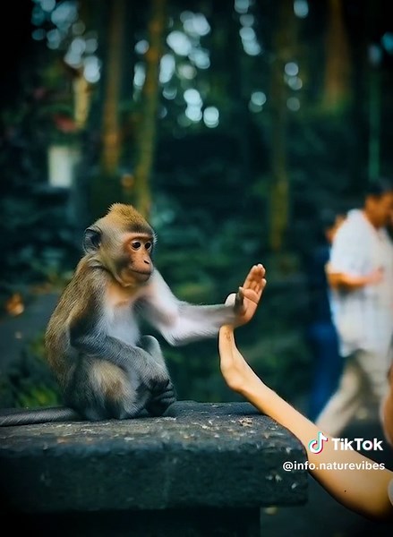 Exploring the Beauty of Pure Love in Nature