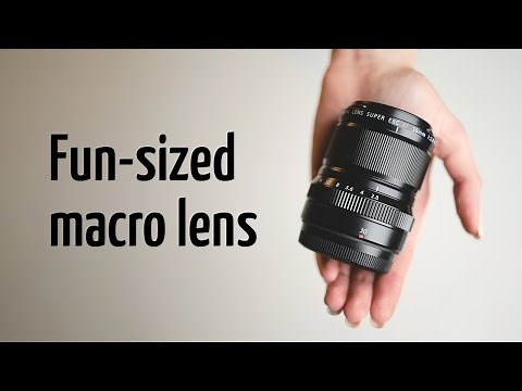 Fujifilm XF 30mm F2.8 LM WR Macro: fun-sized macro lens
