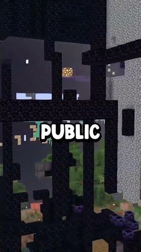 How you can Join the Lifesteal SMP