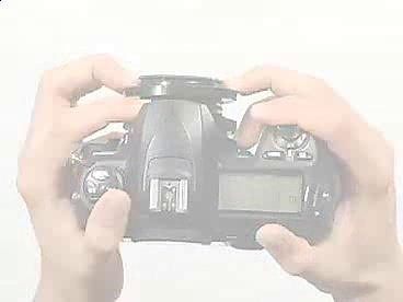 80deb52805d5445d8d9db7ae00b41a1b