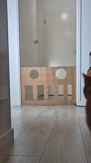 smart cat, smart cats, smart, smart cat video, smart cat opens door, smart cat with 200 iq, smart dogs, cat cartoon, when you have a smart cat, smart cats shorts video, smart cats opening doors, smart huskies, the smart cat song for kids, cat, smurf cat, cat smurf, #cat #cats #funnycat #smart #smartcat #dangerouscat #kittycat, cat cartoon song, cat shorts, cats, pregnant cat with smart kitten, smart pet water dispenser, ai cat, dramatic cat, pinemacaron | Vietnamspacex
