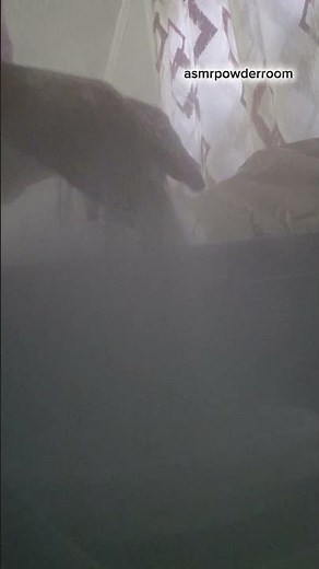 Quick dusty powder transfer| powder play| ASMR| #dustypowderplay #satisfying #powderplayasmr