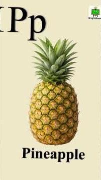 Things That Start With P | Letter P Words for Kids