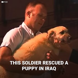 459K views · 10K reactions | Nick Pierzchalski was used to rescuing...
