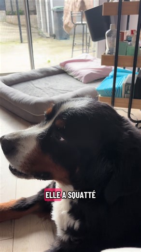 Vaccins pour Maelie et Bianca