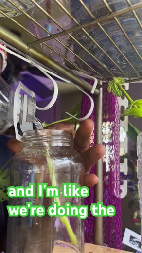 Multiply Your Plants, Multiply Your Peace