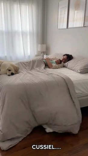 #CrazyCockatoo #HilariousParrot #ParrotChaos #ViralBird #FunnyAnimals #CockatooLife #MorningMadness #FamilyComedy #AnimalReels #TrendingNow #ViralVideo #YouTubeShorts #InstagramReels #TikTokFunny #BirdTok #PetComedy #AnimalLovers #FunniestPets #8KUltraRealistic #DailyLaughs | Mr. Parrot Planet