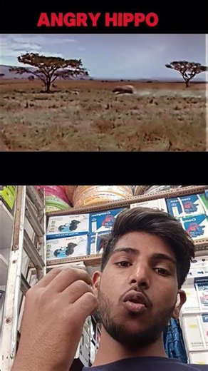 #animals #wildlife #leopard #lion #horror #automobile #slowedandreverb #phonk #phonkmusic #music