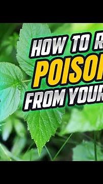 How To Remove Poison Ivy From Your Garden