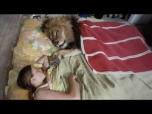 30 Moments When Dangerous Wild Animals Befriended Humans
