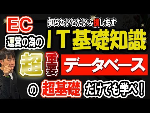 超重要 データベースの超基礎だけでも学べ 知らないと損しますIT基礎知識