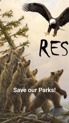 Resilience to support great RV Travels. SAVE our Parks & Lands. It is our mission! ‪@somedayistodayrv‬