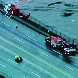 42K views · 646 reactions | Dog Rescue - Il cane viene salvato dalla diga | Marcelo Brozović | Facebook