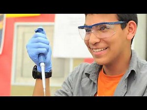 Lab 4/4a Overview: Verifying the Recombinant Plasmid