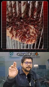 1.2M views · 6.1K reactions | Cockroach Control Home Remedy Disclaimer: This information is for general awareness only. Results may vary depending on condition and usage. If the problem is severe, consult a professional pest control service. #CockroachControl #HomeRemedy #PestControl #SummerTips | Dr. Cardio | Facebook