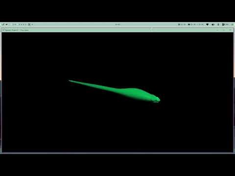 OpenGL Project 6 - Vertex Shaders