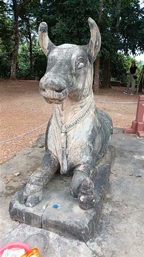 Sacred Cow at the Ancient Temple