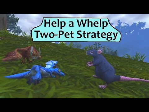Wounded Azurewing Whelpling - Two Pet Guide for Help a Whelp